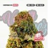 MANGO HAZE - ONLY CBD - 1 GR