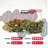 MANGO HAZE - ONLY CBD - 5 GR