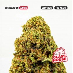 MANGO HAZE - ONLY CBD - 5 GR