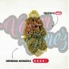 MANGO HAZE - ONLY CBD - 5 GR