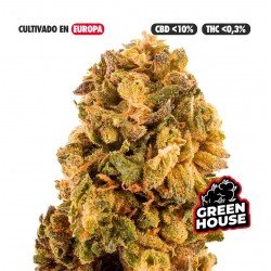 KRIPPY KUSH - ONLYCBD - 1 GR