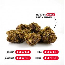 KRIPPY KUSH - ONLYCBD - 5 GR
