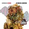 KRIPPY KUSH - ONLYCBD - 5 GR