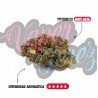 KRIPPY KUSH - ONLYCBD - 5 GR