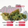 CHERRY BOMB CALI - ONLYCBD -1GR