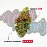 CHERRY BOMB CALI - ONLYCBD -1GR