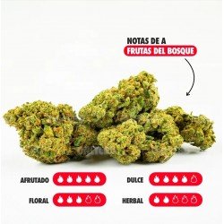 CHERRY BOMB CALI - ONLYCBD -5 GR