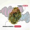 BLUE CHEESE - ONLYCBD - 1GR