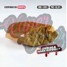 PIATELLA HASH - ONLYCBD - 5GR