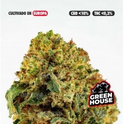 GOLDEN NUGGETS - 10Gr