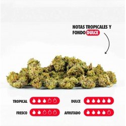 Golden Nuggets - 50gr - ONLY CBD