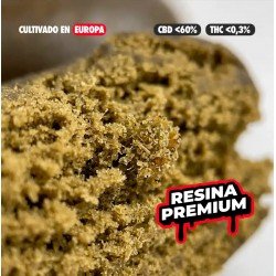JELLY STATIC CBD - 2GR - ONLYCBD