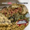 JELLY STATIC CBD -5GR - ONLYCBD