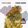MINI BRAINS - 25GR