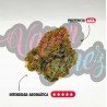 MINI BRAINS - 25GR