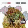 TINY GEMS - 10Gr